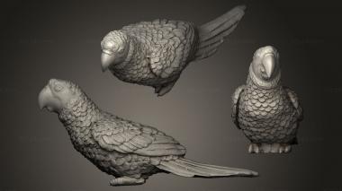 Bird figurines Parrot Ara Green 3d model